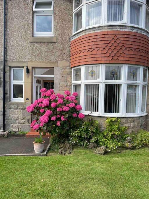 Kelvinside, Seahouses, 2 Minute Walk Into Village Buitenkant foto