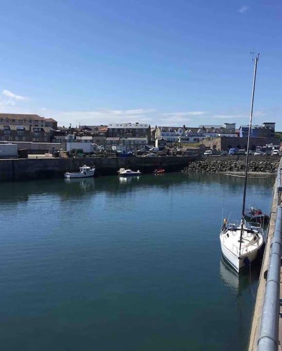 Kelvinside, Seahouses, 2 Minute Walk Into Village Buitenkant foto
